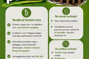 Afrikai sertéspestis megelőzése és a betegség elleni védekezés
